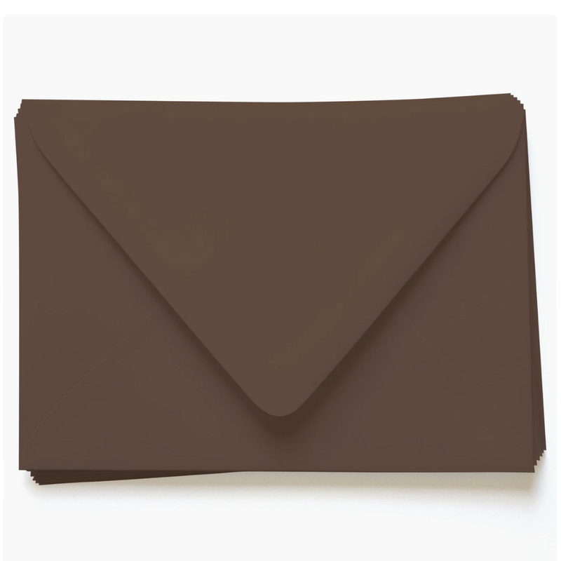 Boston Brown Envelopes (Set of 2)